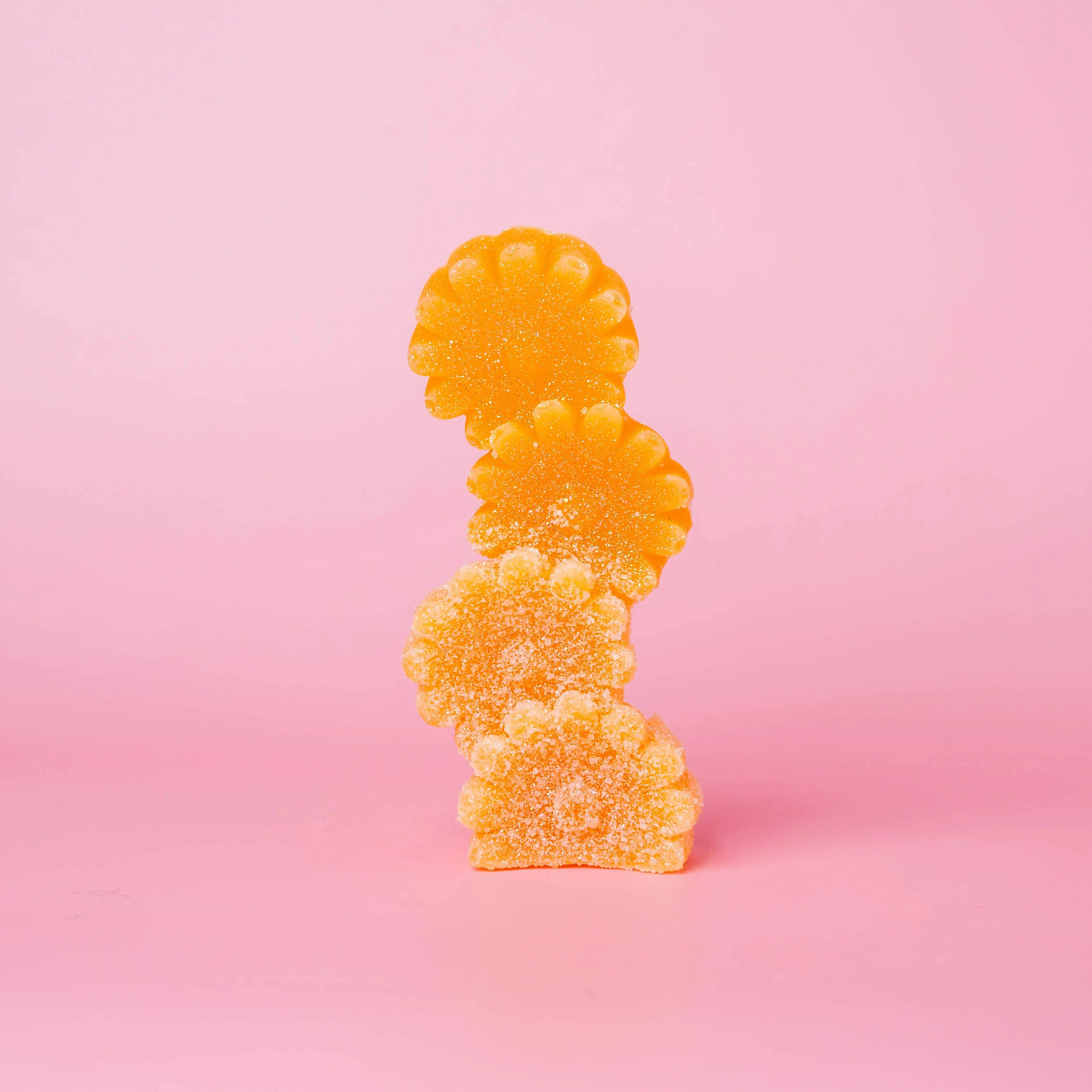 Crystal & Bloom Collection: Passion Fruit - Image 8